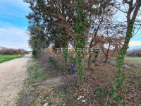 Loborika, 2.005 m2, građevinsko zemljište, uredan pristup