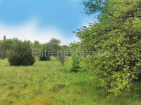 Marčana, Loborika - prodaja mješovitog zemljišta, 3.535 m2!