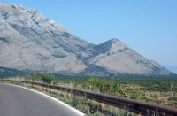 LOKACIJA DRAČEVO IZMEĐU RAVNO - TREBINJE IMANJE 35.000m2 VINOGRAD, KUĆ