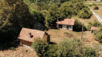 Mala vikendica u šumi