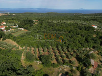 * MALI VAREŠKI – GRAĐEVINSKO ZEMLJIŠTE S MASLINIKOM, 2.976 m² *