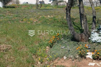 Marčana, Filipana, građevinsko zemljište s potencijalom od 1970 m2!