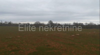 Marčana - poljoprivredno zemljište 39.987 m2