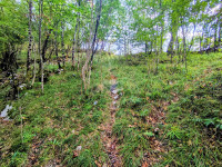 Marčelji, Garići, šumsko zemljište 2668m2