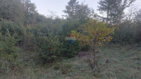 Matulji, Mali Brgud - građevinsko zemljište