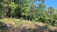 Matulji,Veprinac - Vedež,šumsko zemljište