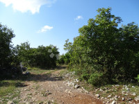 MAVRINCI 1924m2