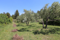 Međare, poljoprivredno zemljište/ maslinik površine 1.542m2 sa 19 stab