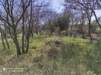 Medulin, građevinsko zemljište 500 m2 + poljoprivredno 515 m2