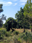 Medulin, građevinsko zemljište okruženo zelenilom, pogled more, 1,5 km