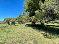 * MEDULIN – GRAĐEVINSKO ZEMLJIŠTE 2.872 M² *