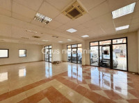 METKOVIĆ, CENTAR- poslovni prostor 241 m2 - NAJAM (Video)