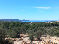 MILNA, Brač - poljoprivredno zemljište- prodaja