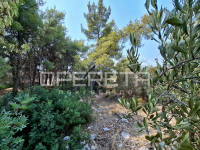 MILNA, OTOK BRAČ – građevinsko zemljište 369 m²