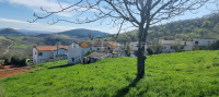 Motovun, istarska kuća  sa panoramskim pogledom na Motovun