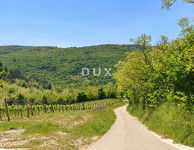 Motovun, poljoprivredno zemljište, 11725 m2
