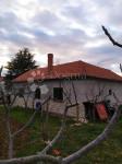 Murvica, kuća sa velikom okućnicom
