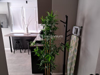 Najam, Rijeka, Brajda, studio apartman, 27.80m2