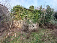 Nedešćina, okolica, ruševna stara istarska kuća sa lijepom okućnicom!
