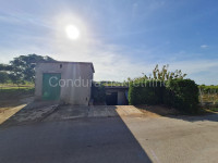 Nin, Bilotinjak - apartman s prostranim dvorištem