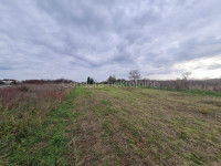 Nin, Grbe - poljoprivredno zemljište 1374 m2