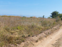 NIN - poljoprivredno zemljište 4016 m2