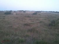NOVALJA - POLJOPRIVREDNO ZEMLJIŠTE 18.365 M2