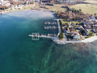 Novigrad- Kuća 40 m od mora! TOP LOKACIJA