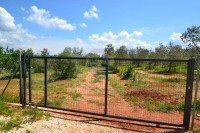 Novigrad, maslinik površine 14349 m2 s gospodarskom zgradom