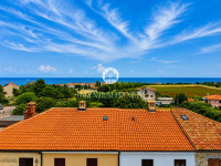 Novigrad okolica, kamena kuća u nizu 800m od mora