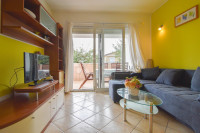 NOVIGRAD OKOLICA - PREKRASAN STAN 200 METARA DO MORA