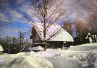 SAMO KOD NAS! NOVOSAGRAĐENA KUĆA U PREKRASNOM ŠUMSKOM AMBIJENTU