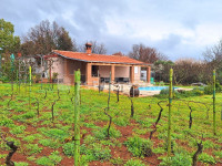 Obiteljska kuća sa bazenom i malim vinogradom