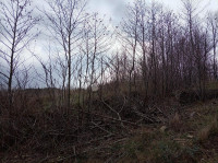 Odlično građevinsko zemljište u centru Klane