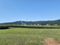 Ogulin - 1 hektar poljoprivrednog zemljišta