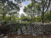 Okolica Vrbnika, prodaja 8000 m² poljoprivrednog zemljišta s ruševinom