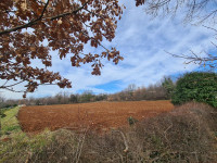 U okolici Barbana, Gočan.
