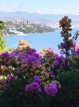 OPATIJA- MALA OAZA SA OKUĆNICOM, POGLEDOM NA MORE I PARKIRNM MJESTOM