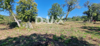 Istra, Oprtalj, građevinsko zemljište, 1.042 m2, s ruševinom