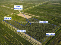 OPUZEN-poljoprivredno zemljište 12649 m2, maslinik