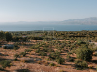 Otok Brač, Supetar, zemljište površine 20.843 m2
