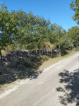 Otok Cres, Belej, građevinsko zemljište, 435m2