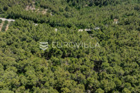 Otok Korčula, Blato, predio Ančinovo, veliko poljoprivredno zemljište