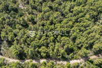 Otok Korčula, Blato, predio Brščanovica, veliko poljoprivredno zemljiš