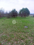 OTOK KRK, PINEZIĆI - POLJOPRIVREDNO ZEMLJIŠTE, 2651 m2