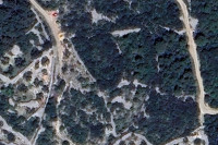 Otok Pašman, zemljište, šuma, 1630 m2 (prodaja)