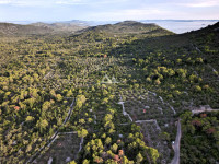 OTOK UGLJAN – POLJANA | POLJOPRIVREDNO ZEMLJIŠTE 5.350 m²