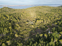 OTOK UGLJAN – POLJANA | POLJOPRIVREDNO ZEMLJIŠTE 550 m² |