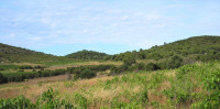 Otok Vis - atraktivno poljoprivredno zemljište 10.700 m2