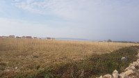 PAG - POVLJANA, PRODAJA POLJOP. ZEMLJIŠTA OD 19.558 M2.